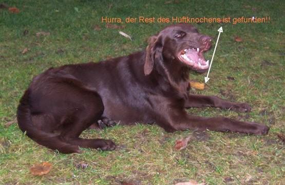 Vivian mit Hüftknochen