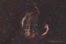 Cirrus-Nebel im Sternbild Schwan