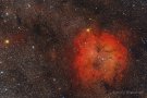 IC1396 - Elefantenrüssel-Nebel im Sternbild Kepheus