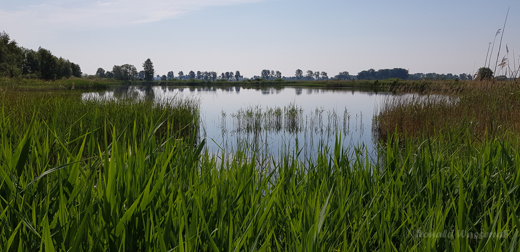 An den Linumer Teichen