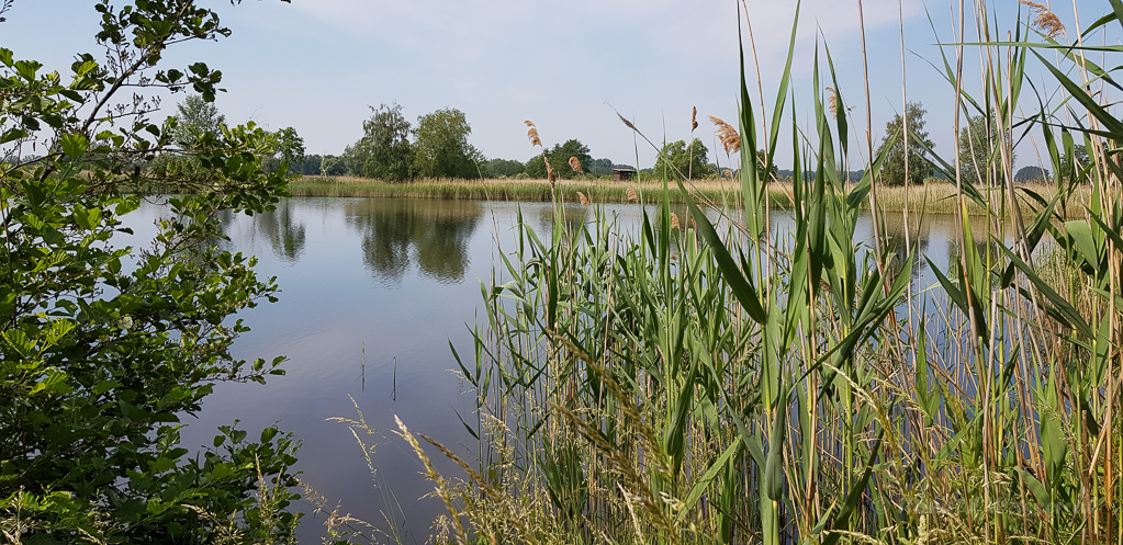 An den Linumer Teichen