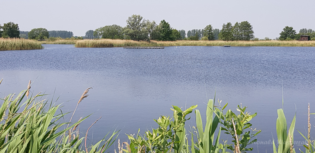 An den Linumer Teichen