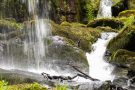 Albfall Menzenschwand