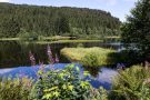 Lac de Lispach