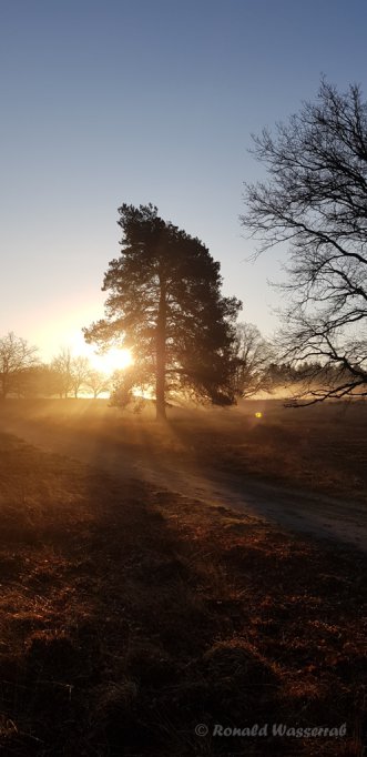 Sonnenaufgang im De Meinweg