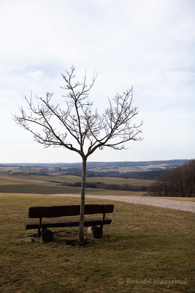 Ruhebank an der Kottenborner Kapelle