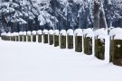 Der Ehrenfriedhof im Ortsteil Hürtgen