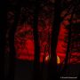 Sonnenaufgang am Hoscheit