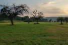 Steinkauzwiese vor der Flutkatastrophe