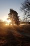 Sonnenaufgang im De Meinweg