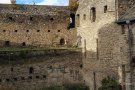 Revier des Mauerläufers in der Burg Rheinfels