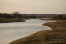 Kanal in den Amsterdamse Waterleidingduinen