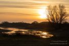 Abendstimmung in den Amsterdamse Waterleidingduinen