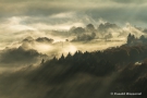 Morgennebel in der Eifel