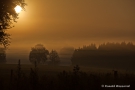 Sonnenaufgang bei Nebel am Hexenplatz