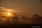 Sonnenaufgang im Nebel am Hexenplatz