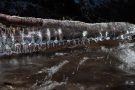 Ast mit Eisgebildenin der Kall