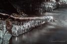 Ast mit Eisgebildenin der KallAst mit Eisgebildenin der Kall