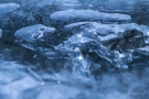 Kalli - der Ötzi aus der Kall (Eisstrukturen bei Zerkall)