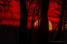 Sonnenaufgang am Hoscheit