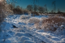 Nahtsief (Brackvenn) Im Schnee