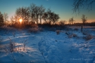 Nahtsief (Brackvenn) bei Sonnenuntergang