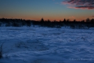 Palsa im Platten Venn (Brackvenn) nach Sonnenuntergang