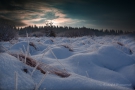 Morgentliches Schneefeld im Platten Venn (Brackvenn)