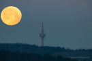Endlich ein wolkenfreier Himmel beim Monduntergang