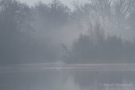 Idylle am kleinen De Wittsee