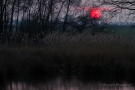 Sonnenuntergang am Rohrdommel-Projekt