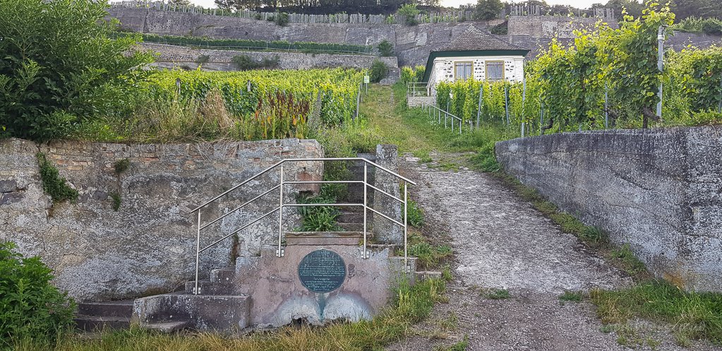 Einstieg in den Vulkangarten Winklerberg