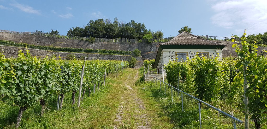 Aufstieg Vulkanfelsengarten Winklerberg