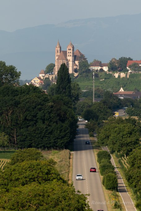 Blick auf das Breisacher Münster