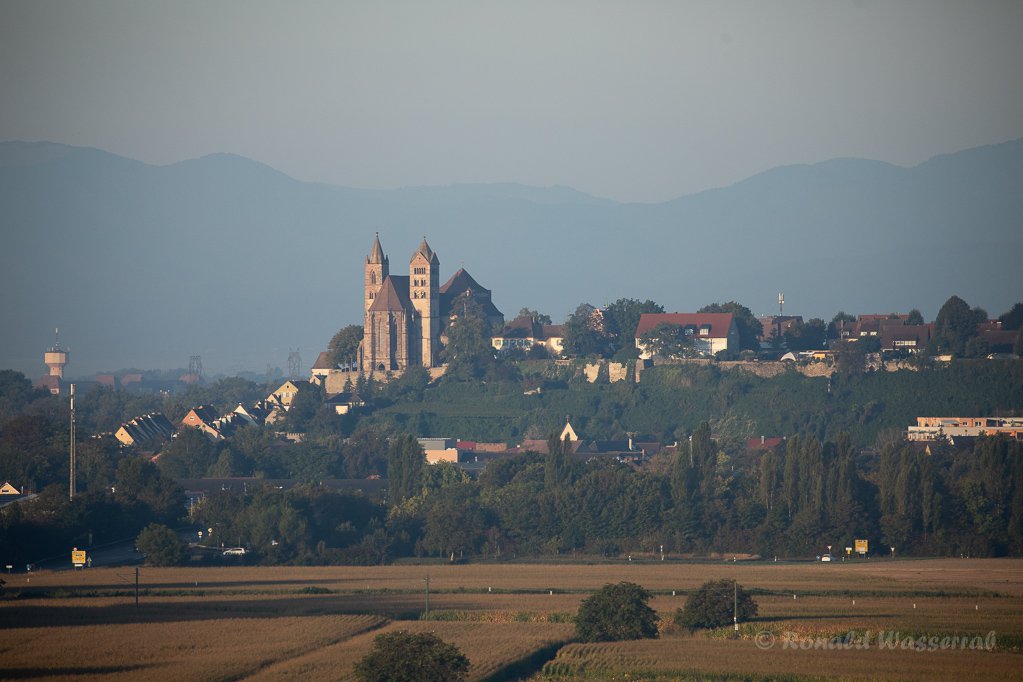Blick auf das Breisacher Münster