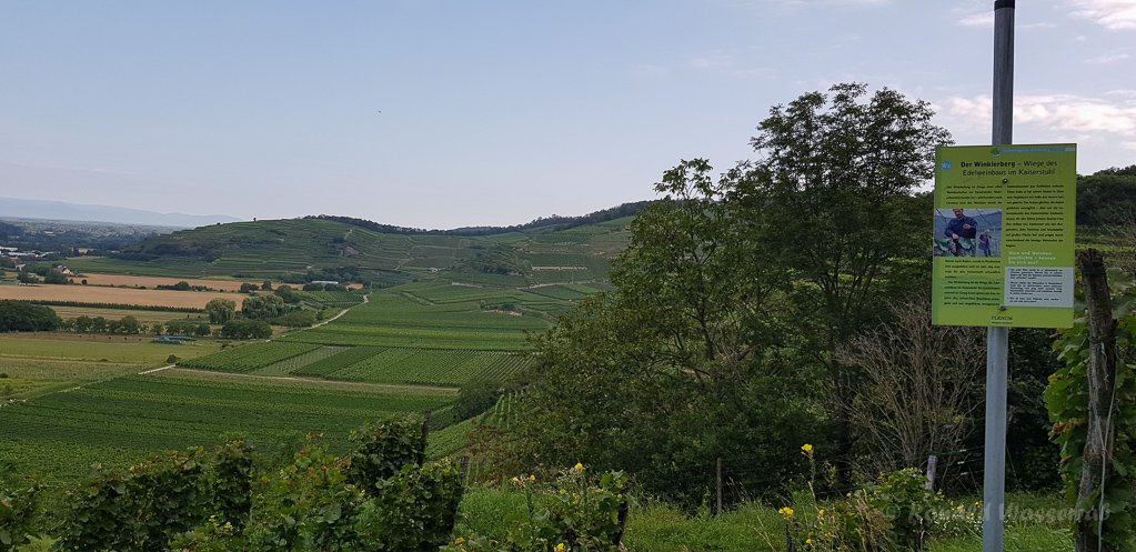 Am Winklerberg