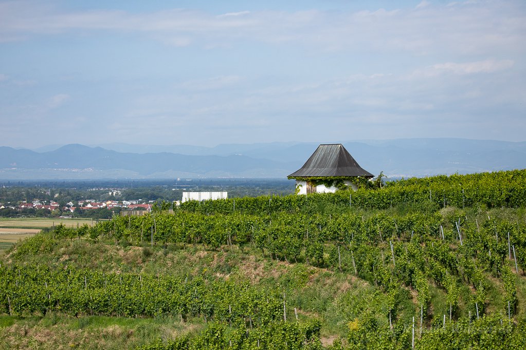 Auf dem Winklerberg