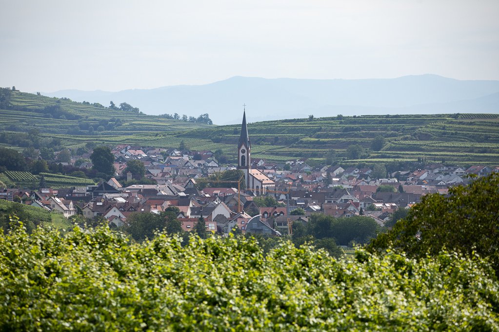 Blick auf Ihringen