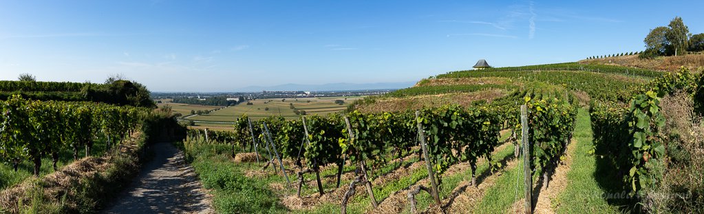 Winklerberg-Panorama