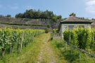 Aufstieg Vulkanfelsengarten Winklerberg