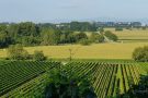 0020_20210730_081131_BlickVomWinklerberg