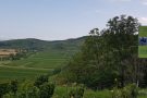 Am Winklerberg