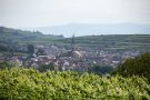 Blick auf Ihringen