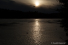 Abendstimmung am Oberrhein bei Brennet