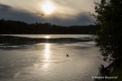 Abendstimmung am Rhein bei Brennet