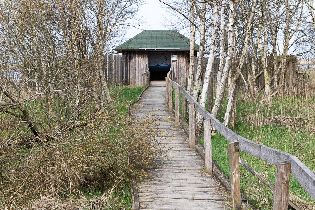 Beobachtungshütte im Schwimmenden Moor Sehestedt (Jadebusen)
