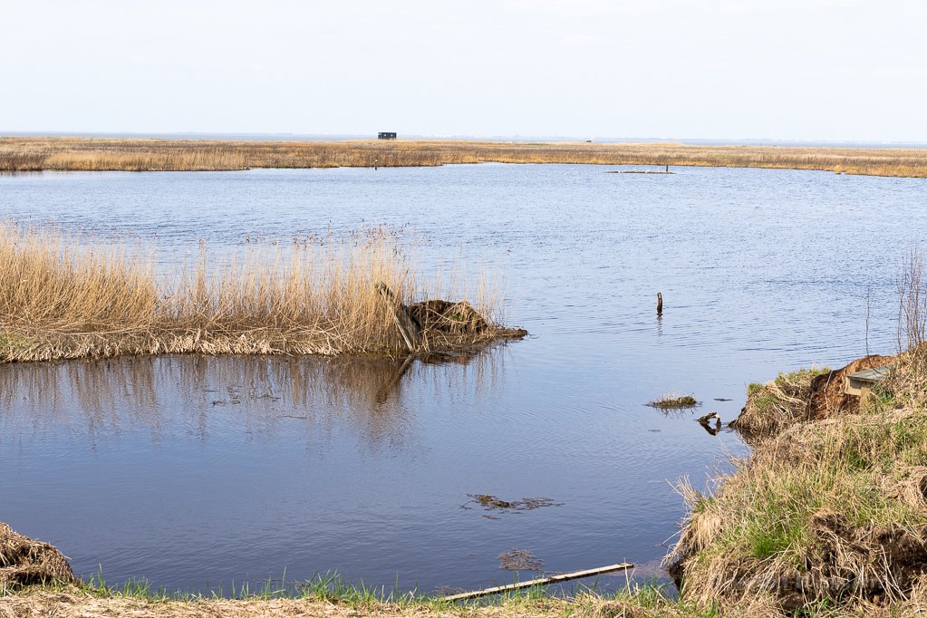 Das Schwimmende Moor