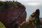 Lummenfelsen Helgoland
