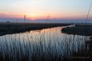Sonnenaufgang im Kampfläufer-Brutgebiet