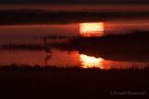 Sonnenaufgang im Kampfläufer-Brutgebiet